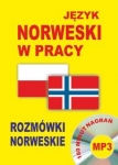 jezyk-norweski-w-pracy-rozmowki-norweskie-cd.jpg