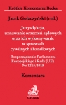 jurysdykcja-uznawanie-orzeczen-sadowych-oraz-ich-wykonywanie-w-sprawach-cywilnych-i-handlowych.jpg