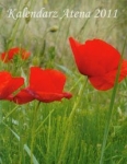 kalendarz-2011-atena-papier.jpg