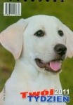 kalendarz-2011-biurowy-b7.jpg