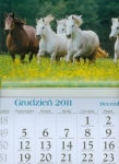 kalendarz-2012-kt17-konie-trojdzielny.jpg