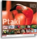 kalendarz-2012-ptaki-1.jpg