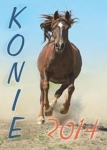 kalendarz-2014-konie-sm-4.jpg