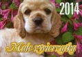 kalendarz-2014-male-zwierzeta-ka-3.jpg