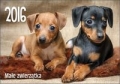 kalendarz-2016-ka-1-male-zwierzatka.jpg