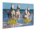kalendarz-2018-ka-10-konie-3.jpg