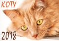kalendarz-2018-koty-sm4.jpg