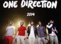 kalendarz-scienny-2014-one-direction.jpg