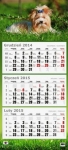 kalendarz-trojdzielny-plaski-2015-pies.jpg