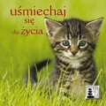 kamyki-4-usmiechaj-sie-do-zycia.jpg
