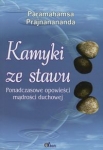 kamyki-ze-stawu.jpg