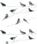 karnet-17x14cm-z-koperta-garden-birds-wallpaper.jpg