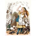 karnet-b6-z-koperta-alice-and-the-shower-of-cards.jpg