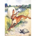 karnet-b6-z-koperta-the-hare-and-the-tortoise.jpg