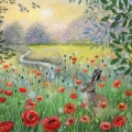 karnet-kwadrat-z-koperta-hare-and-poppies.jpg