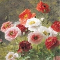 karnet-kwadrat-z-koperta-poppies.jpg