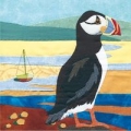 karnet-kwadrat-z-koperta-puffin-1.jpg
