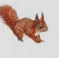 karnet-kwadrat-z-koperta-red-squirrel.jpg