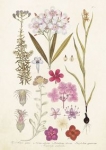 karnet-st216-b6-koperta-rozowe-kwiaty.jpg
