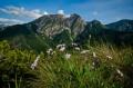 kartka-3d-tatry-giewont.jpg