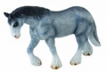 klacz-rasy-clydesdale.jpg