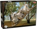 koalas-puzzle-500.jpg