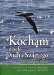 kocham-dzielo-ducha-swietego.jpg
