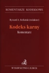 kodeks-karny-komentarz-13.jpg