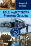 kolej-waskotorowa-piotrkow-sulejow.jpg