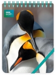 kolonotes-ozdobny-king-penguins.jpg
