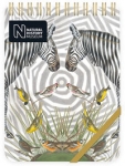 kolonotes-ozdobny-zebra.jpg