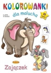 kolorowanki-dla-malucha-zajaczek.jpg