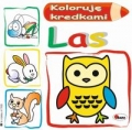 koloruje-kredkami-las.jpg