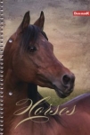 kolozeszyt-a5-w-kratke-80-kartek-horses-5-sztuk.jpg
