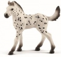 kon-knapstrupper-foal.jpg
