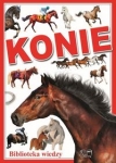 konie-21.jpg