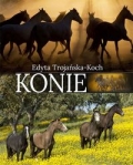 konie-6.jpg