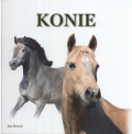 konie-7.jpg