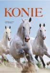 konie-rasy-tradycje-obyczaje.jpg