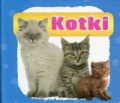 kotki-harmonijka-mala-1.jpg