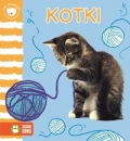 kotki-mali-przyjaciele.jpg