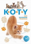 koty-15.jpg
