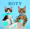 koty-7.jpg