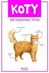koty-jak-rozpoznac-50-gatunkow-br-jednosc-9788376607368.jpg