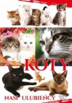 koty-nasi-ulubiency.jpg