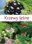 krzewy-lesne-2.jpg