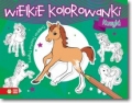 kucyki-wielkie-kolorowanki-zielona-sowa-9788379834860.jpg