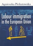 labour-immigration-in-the-european-union.jpg
