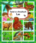 las-swiat-w-obrazkach.jpg