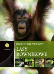 lasy-rownikowe.jpg